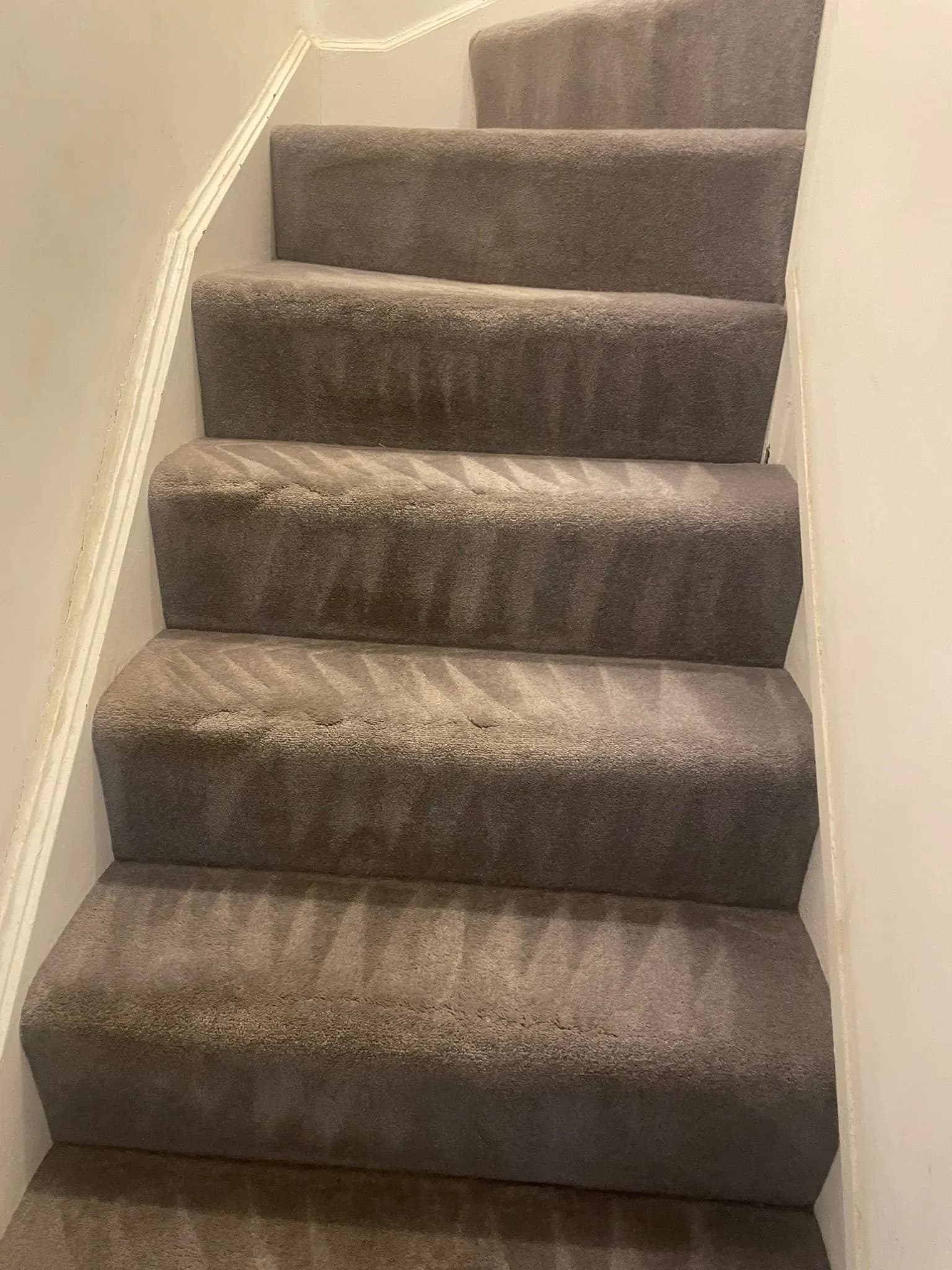 Carpeted staircase with fresh pile lines after carpet cleaning