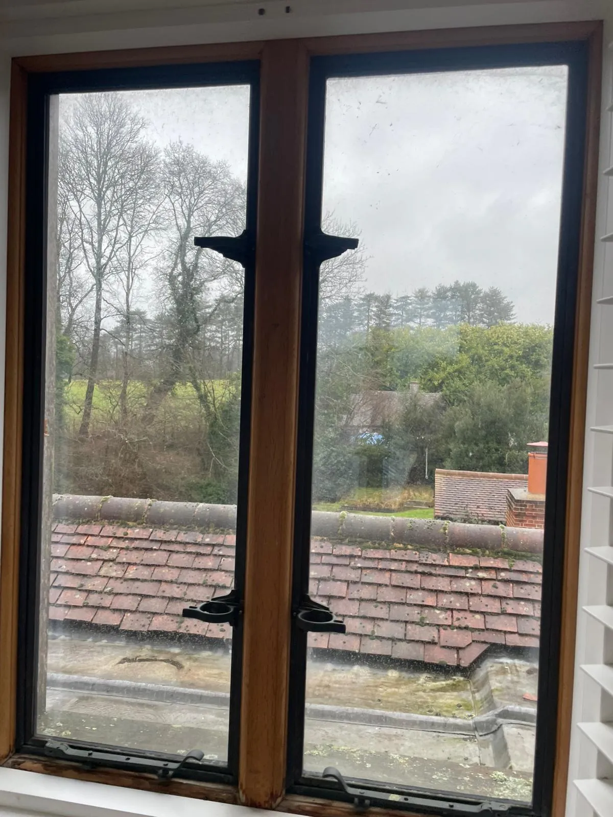 Internal window glass cleaned, looking out over the garden